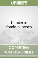 Il mare in fondo al bosco libro