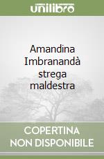 Amandina Imbranandà strega maldestra libro