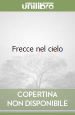 Frecce nel cielo libro