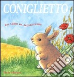 Coniglietto libro