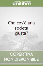 Che cos'è una società giusta? libro