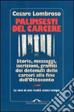 Palimsesti del carcere. Storie, messaggi, iscrizioni, graffiti dei detenuti delle carceri alla fine dell'Ottocento libro