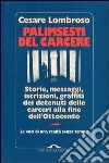 Palimsesti del carcere. Storie, messaggi, iscrizioni, graffiti dei detenuti delle carceri alla fine dell'Ottocento libro