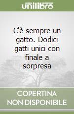 C'è sempre un gatto. Dodici gatti unici con finale a sorpresa libro