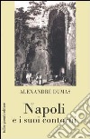 Napoli e i suoi contorni libro
