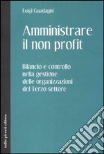 Amministrare il non profit. Bilancio e controllo nella gestione delle organizzazioni del terzo settore