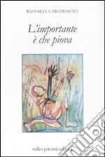 L'Importante è che piova libro