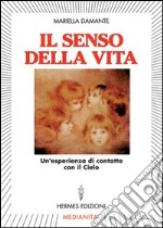 Il senso della vita. Un'esperienza di contatto con il cielo