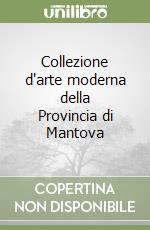 Collezione d'arte moderna della Provincia di Mantova libro