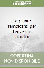 Le piante rampicanti per terrazzi e giardini