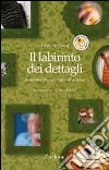 Il labirinto dei dettagli. Iperselettività cognitiva nell'autismo libro