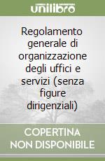 Regolamento generale di organizzazione degli uffici e servizi (senza figure dirigenziali) libro