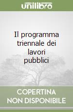 Il programma triennale dei lavori pubblici