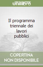 Il programma triennale dei lavori pubblici libro