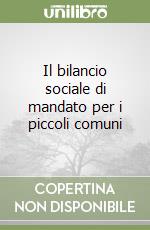 Il bilancio sociale di mandato per i piccoli comuni