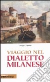 Viaggio nel dialetto milanese libro