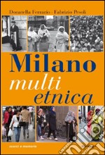 Milano multietnica. Storia e storie della città globale