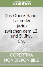 Das Obere Habur Tal in der jazira zwischen dem 13. und 5. Jhv. Chr.