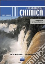 Fondamenti di chimica libro