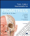 Prometheus. Atlante di anatomia. Testa, collo e neuroanatomia libro