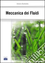 Meccanica dei fluidi