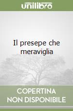 Il presepe che meraviglia libro