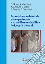 Esposizione ambientale e occupazionale a silice libera cristallina: ieri, oggi e domani libro