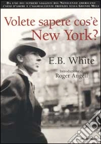 Volete sapere cos'è New York? libro