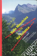 Su e giù nella valle Mesolcina e nella valle Calanca. 45 escursioni alla scoperta della natura alpina delle due vallate del grigionitaliano libro