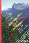 Su e giù nella valle Mesolcina e nella valle Calanca. 45 escursioni alla scoperta della natura alpina delle due vallate del grigionitaliano libro