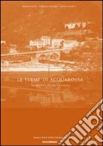 Le terme di Acquarossa. Territorio, storia e cultura