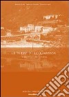 Le terme di Acquarossa. Territorio, storia e cultura libro