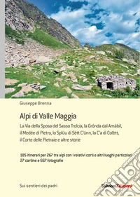 Alpi di valle Maggia