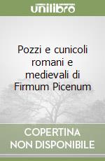 Pozzi e cunicoli romani e medievali di Firmum Picenum libro