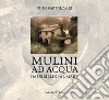 Mulini ad acqua. Dai Sibillini al mare libro