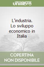 L'industria. Lo sviluppo economico in Italia libro