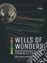 Wells of wonders. New discoveries at Cetamura. Ediz. a colori