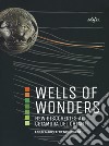 Wells of wonders. New discoveries at Cetamura. Ediz. a colori libro