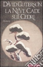 La neve cade sui cedri libro