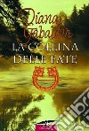 La collina delle fate libro