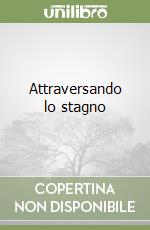 Attraversando lo stagno
