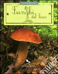 Funghi del bosco. Ediz. illustrata