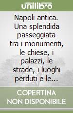 Napoli antica. Una splendida passeggiata tra i monumenti, le chiese, i palazzi, le strade, i luoghi perduti e le leggende popolari del centro antico di una città ricca di storia e di cultura libro