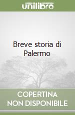 Breve storia di Palermo libro usato