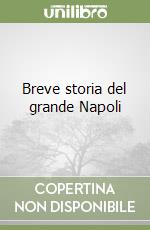 Breve storia del grande Napoli