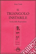 Il triangolo instabile libro