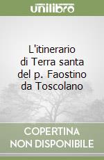 L'itinerario di Terra santa del p. Faostino da Toscolano libro