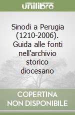 Sinodi a Perugia (1210-2006). Guida alle fonti nell'archivio storico diocesano libro