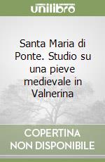 Santa Maria di Ponte. Studio su una pieve medievale in Valnerina