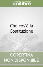 Che cos'è la Costituzione libro